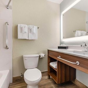 One-Bedroom King Suite
